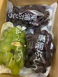 ���Y�Y�u�Ԃǂ��v